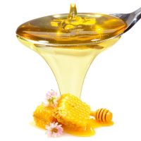 Pregel Honig NA Sauce - 1 Kg