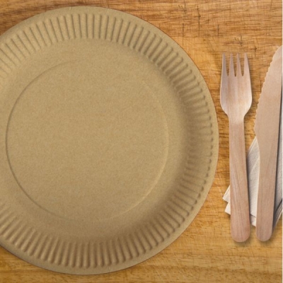 Pappteller - Rund - BRAUN - Fettdicht - 23 cm - 100 Stück