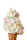 Dekor Mini Marshmellows - 4 Farben - 1 Kg