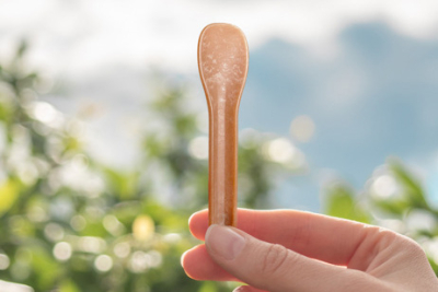 Bio - Eisspaten - Marino - 8,5cm - 100% Plastikfrei - 24 Stück